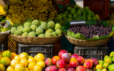 Avances en la implementación de la Ley contra el Desperdicio Alimentario: nuevo documento de preguntas y respuestas