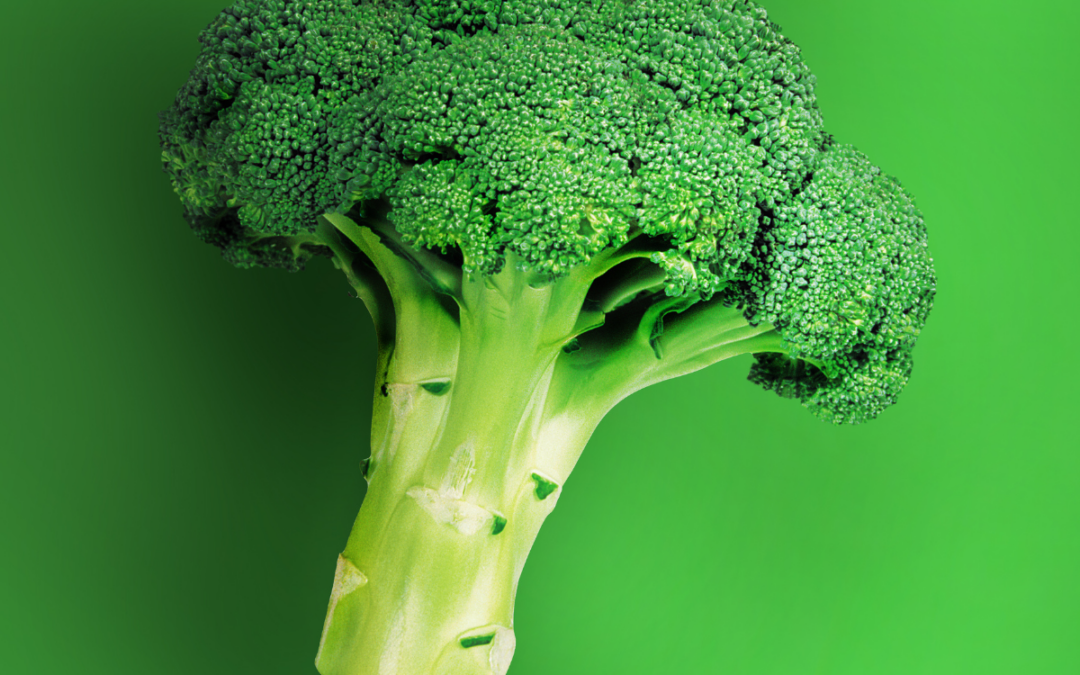 Estrategias y líneas de acción para combatir el desperdicio alimentario