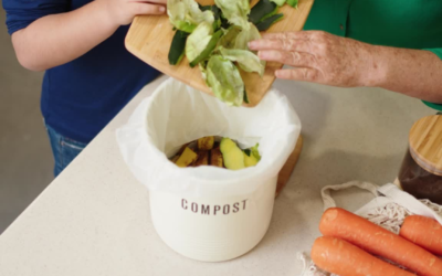 Iniciativas navarras contra el desperdicio alimentario