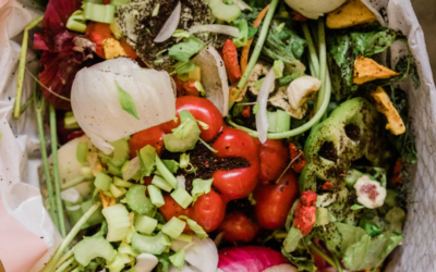 🌍🍽️ Avanza la Ley de Prevención de las Pérdidas y el Desperdicio Alimentario en España 🍏🔜