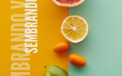 Sostenibilidad alimentaria en 2025: aprendizajes, proyectos y retos